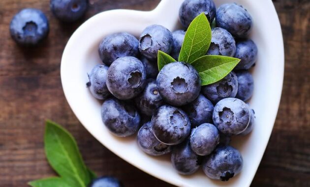 Manfaat Blueberry untuk Kesehatan